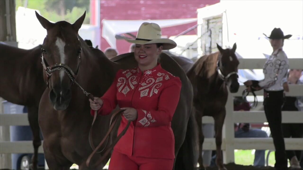 4-H Spotlight: Showmanship demonstrates bond between horse and competitor